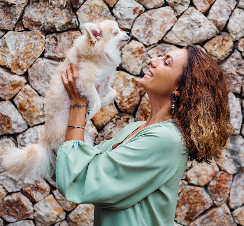 Pourquoi assurer votre animal ?